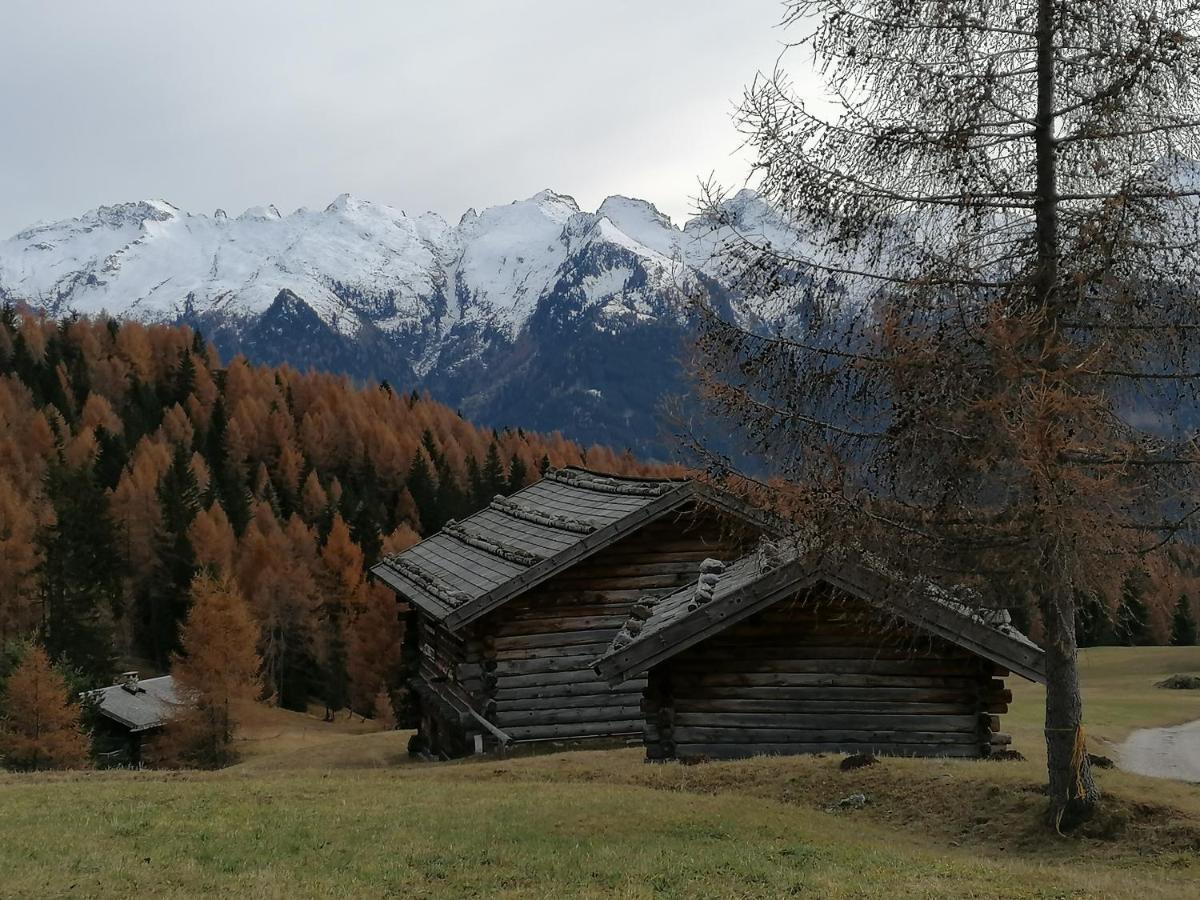 Dolomites B&B - Suites, Apartments And Spa Tesero Exteriör bild